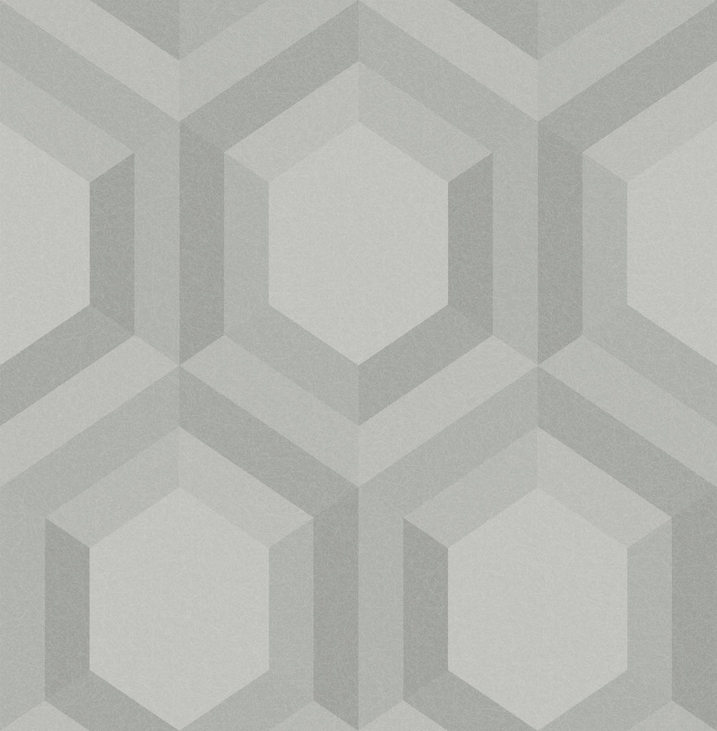 PIONEER Wallpaper Pattern No 112203