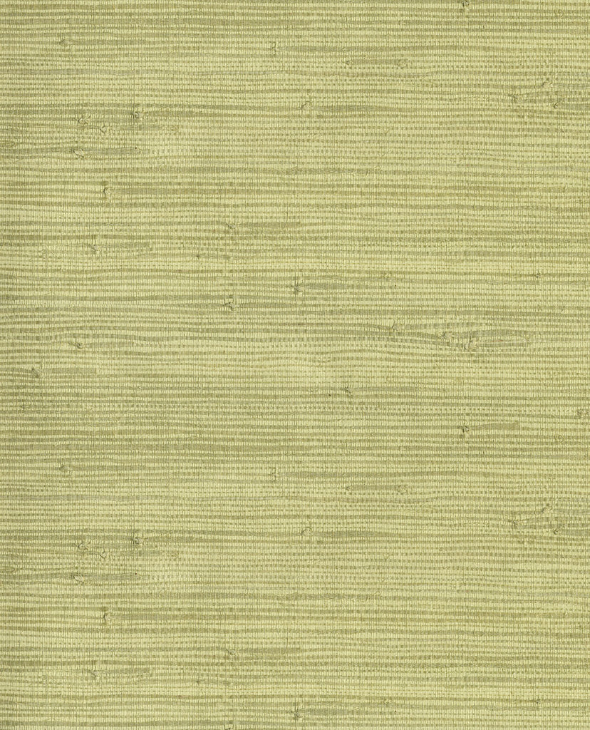 NATURAL WALLCOVERINGS III Wallpaper Pattern No E303502