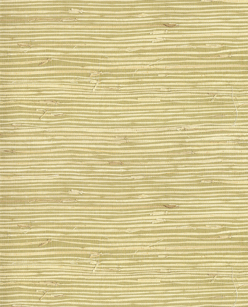 NATURAL WALLCOVERINGS III Wallpaper Pattern No E303503