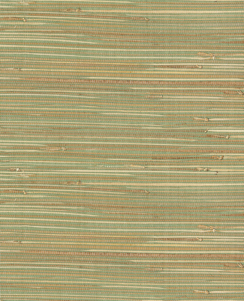 NATURAL WALLCOVERINGS III Wallpaper Pattern No E303508