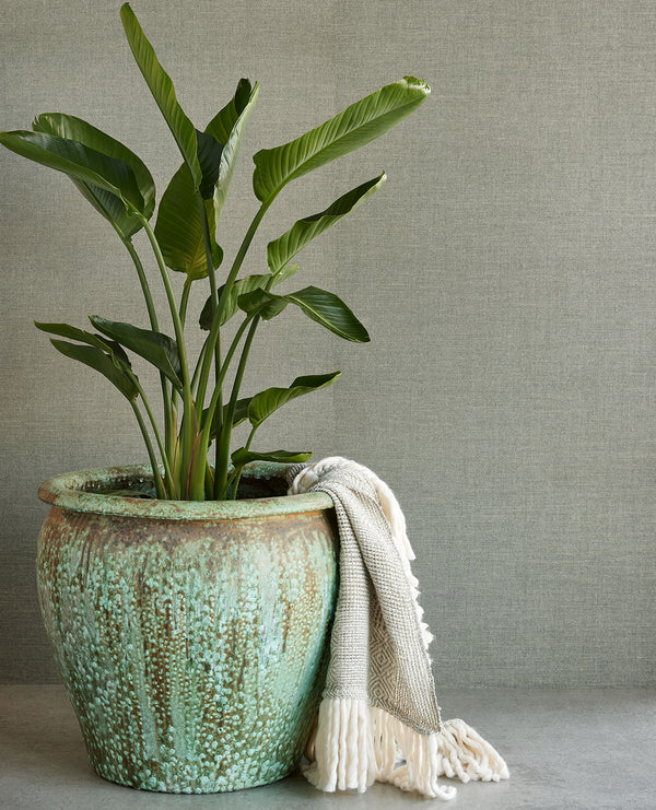 NATURAL WALLCOVERINGS III Wallpaper Pattern No E303520