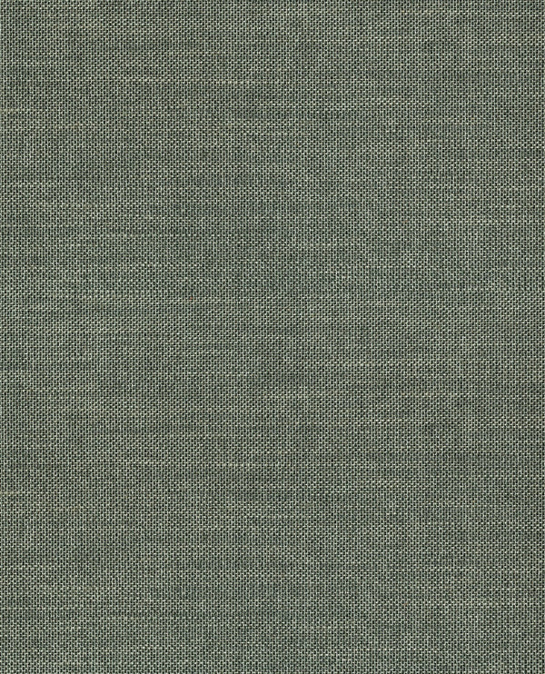 NATURAL WALLCOVERINGS III Wallpaper Pattern No E303520