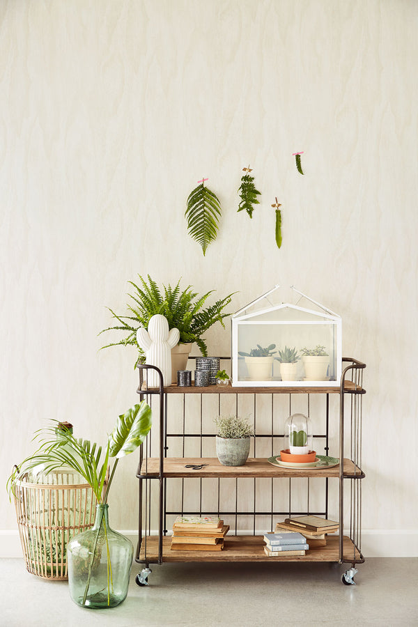 GEONATURE Wallpaper Pattern No E366008