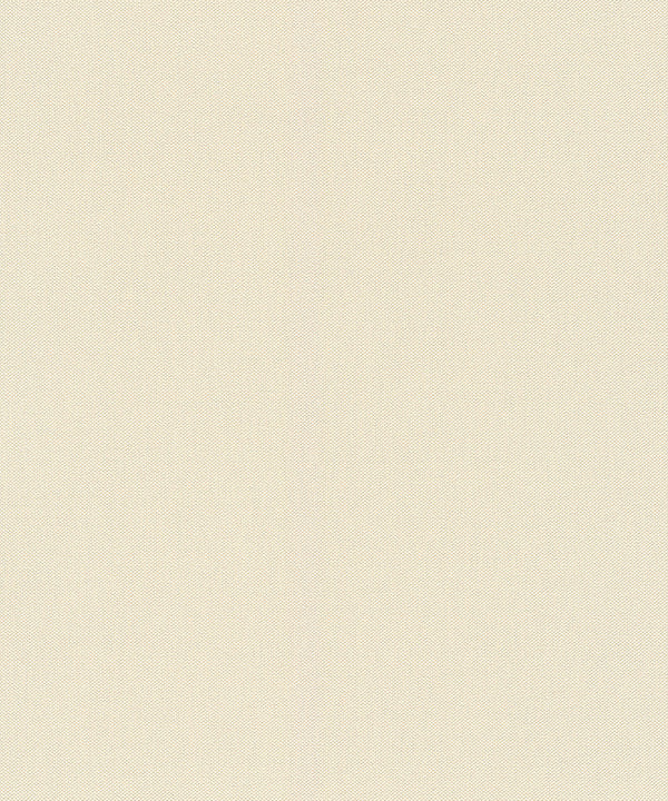 WALL TEXTURES V Wallpaper Pattern No 424058