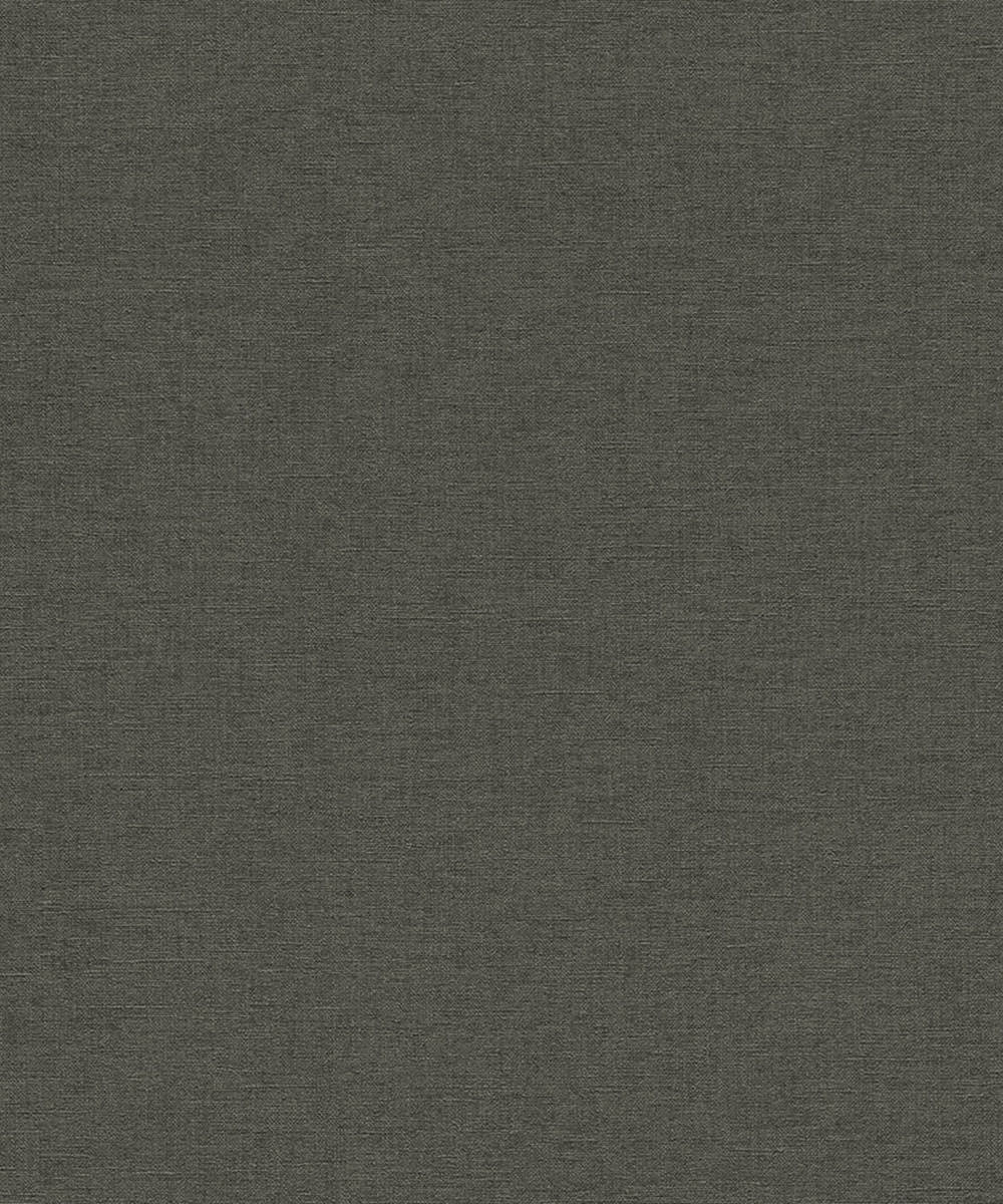 SALSA Wallpaper Pattern No 449853 – Aspiring Walls