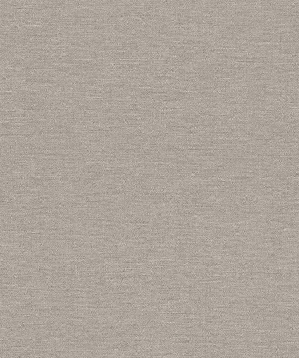 SALSA Wallpaper Pattern No 452037