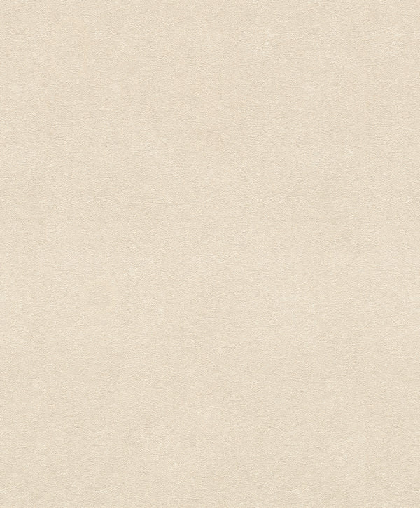 WALL TEXTURES VI Wallpaper Pattern No 467147