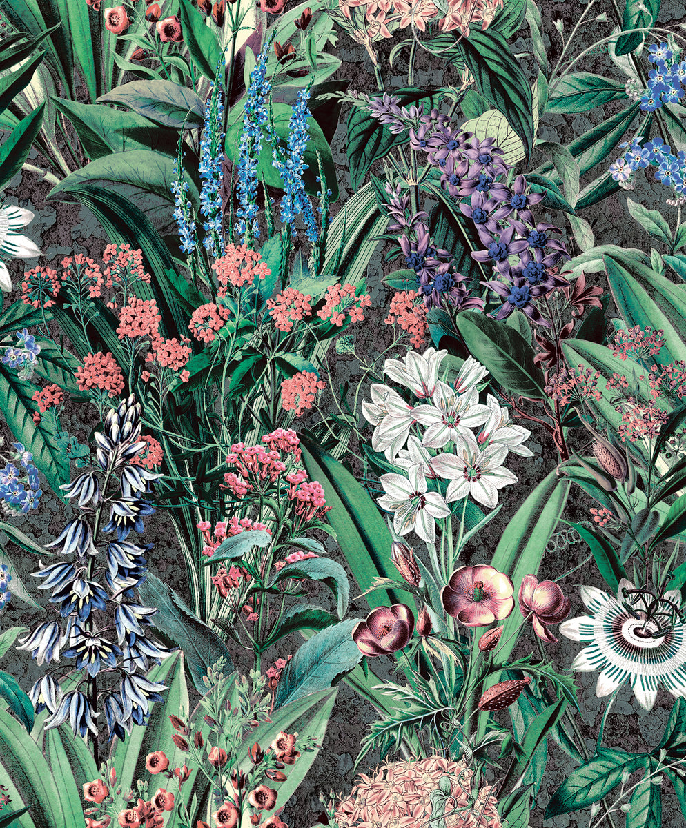 EDEN Wallpaper Pattern No 47475 – Aspiring Walls