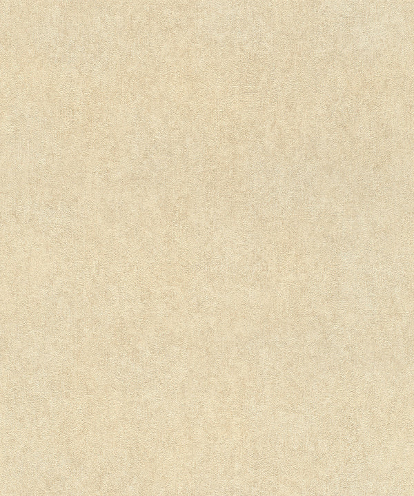 WALL TEXTURES V Wallpaper Pattern No 617344