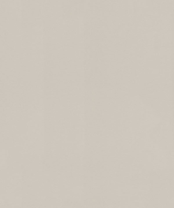 SALSA Wallpaper Pattern No 806823