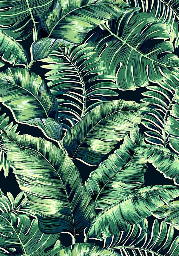 BRAND MCKENZIE Wallpaper Pattern No BMTD001/05C - Banana Leaves Max