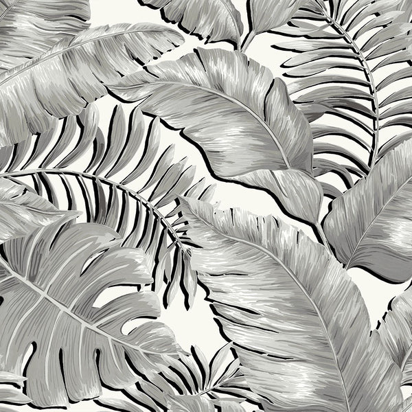 BRAND MCKENZIE Wallpaper Pattern No BMTD001/06A - Banana Leaves Standard