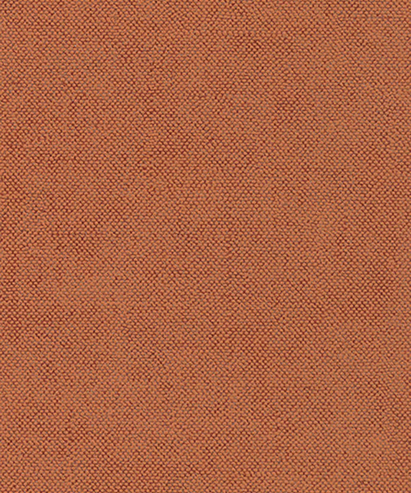 SUMMER Wallpaper Pattern No CLR017