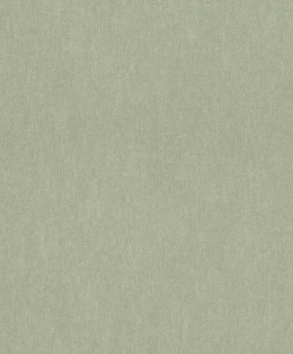 SENSAI - EMIL & HUGO Wallpaper Pattern No 298986