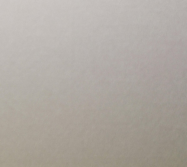 WORLD OF WALLS 2.0 Wallpaper Pattern No 42785