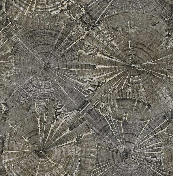 CARL ROBINSON 15 Wallpaper Pattern No CR76003