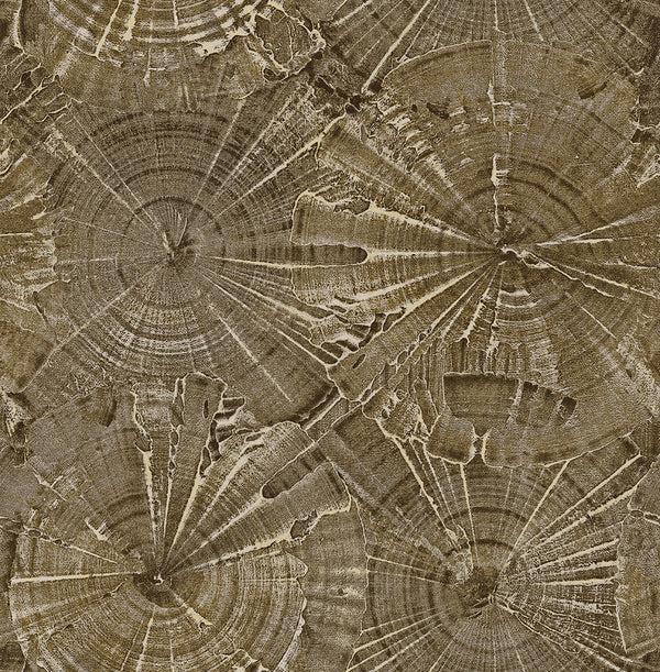 CARL ROBINSON 15 Wallpaper Pattern No CR76006