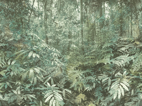 CARL ROBINSON 15 Wallpaper Pattern No CR78100M