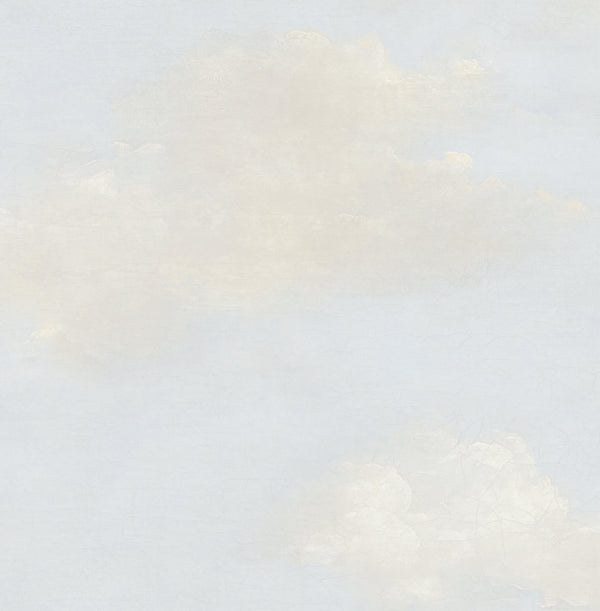 TRANSITION Wallpaper Pattern No FJ30907