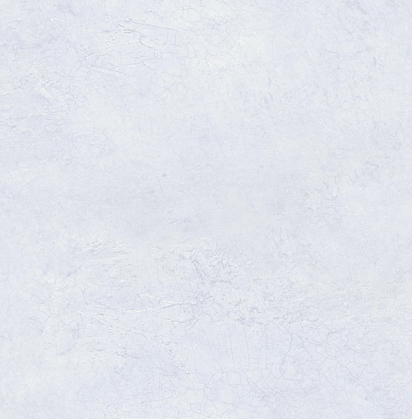 TRANSITION Wallpaper Pattern No FJ31104