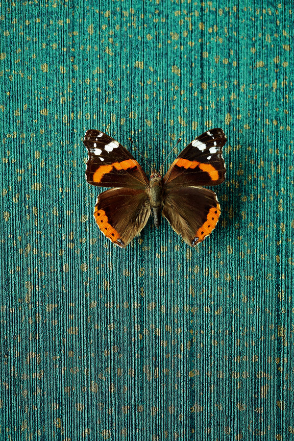 MASTERPIECE Wallpaper Pattern No E358061