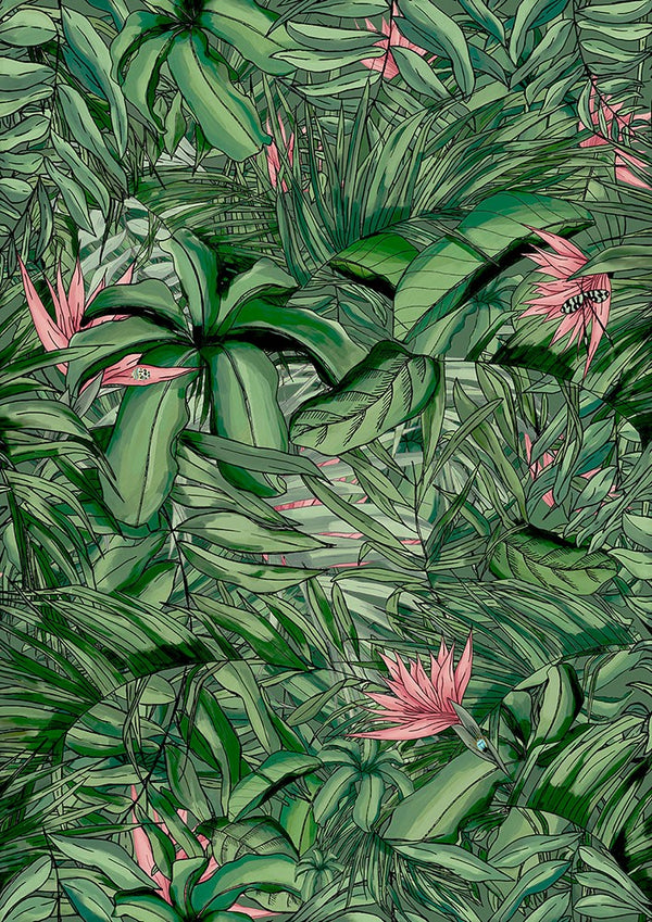 BRAND MCKENZIE Wallpaper Pattern No BMTD001/15A - Tropical Forest